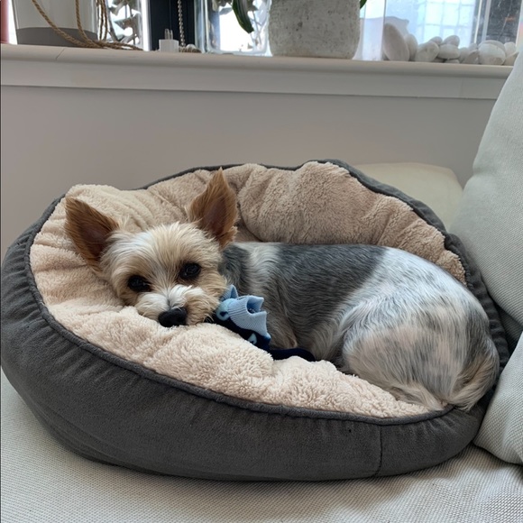 MY LITTLE BABY 🥰 - Picture 5 of 16